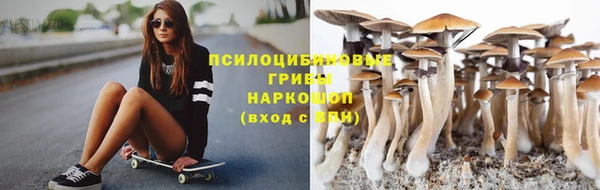 прущий лед Богородицк