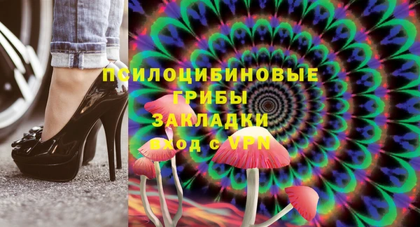 гашик Богданович