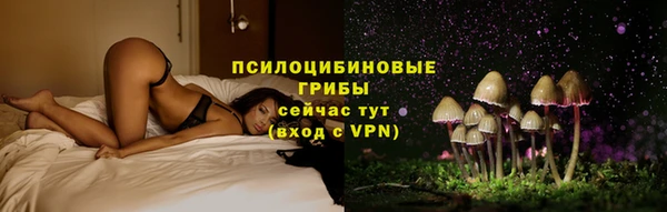 гашик Богданович