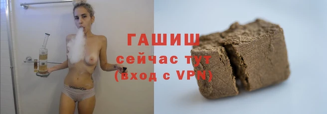 гашик Богданович