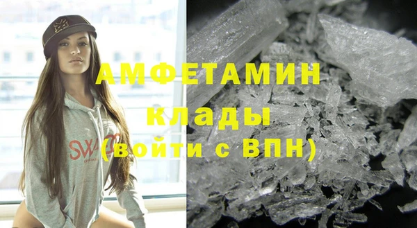 гашик Богданович