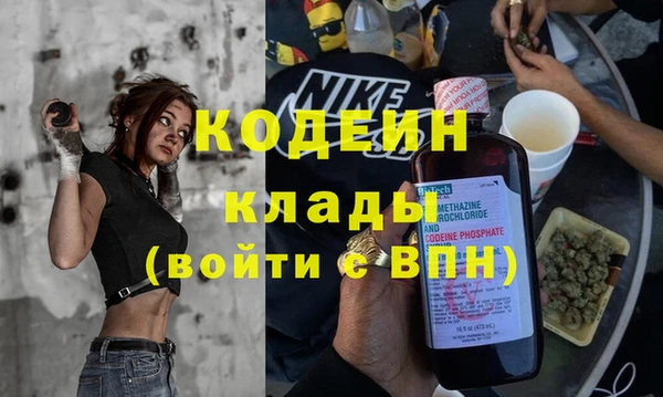 гашик Богданович