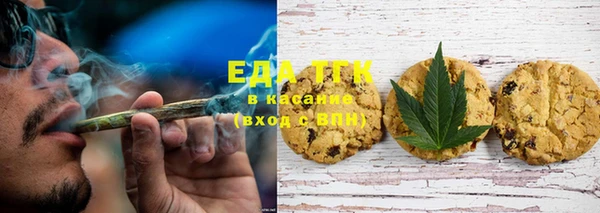 гашик Богданович