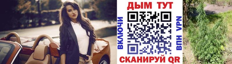 Конопля индика  Донской 